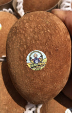 Load image into Gallery viewer, SAPOTE | MAMEY FLORIDA SMALL BOX
