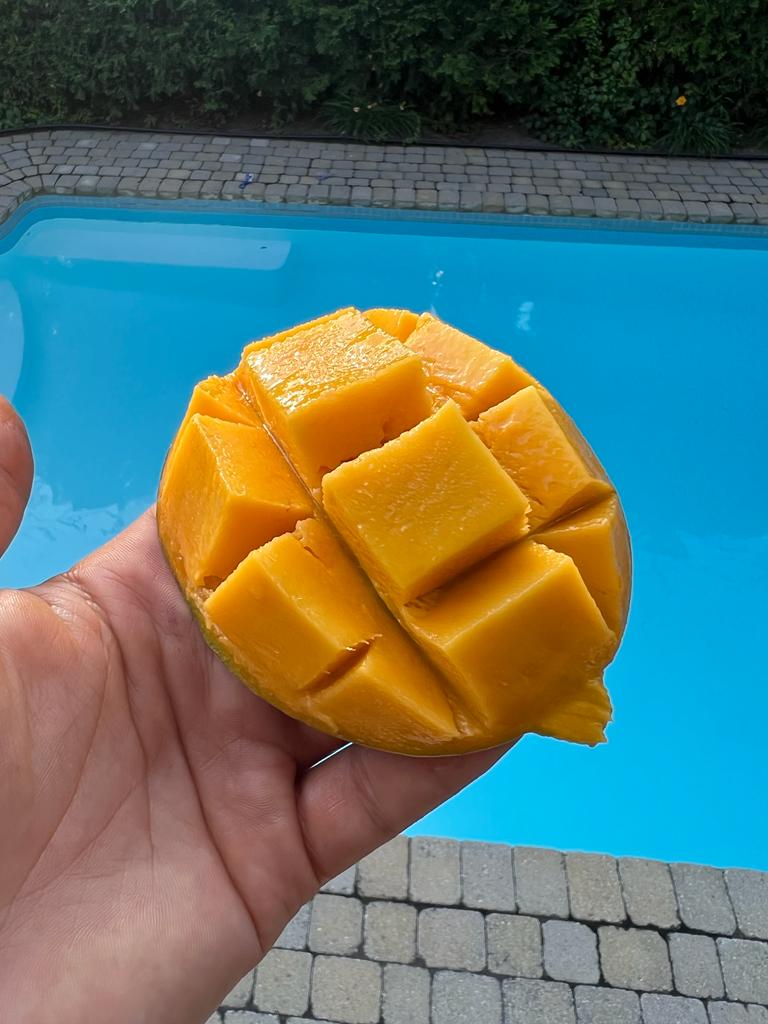 Mango | Julie Mango Jamaica 2kg Box (8-12 Mangos)