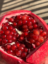 Load image into Gallery viewer, POMEGRANATE | EGYPT LARGE (2 PIECE)
