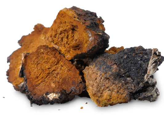 CHAGA