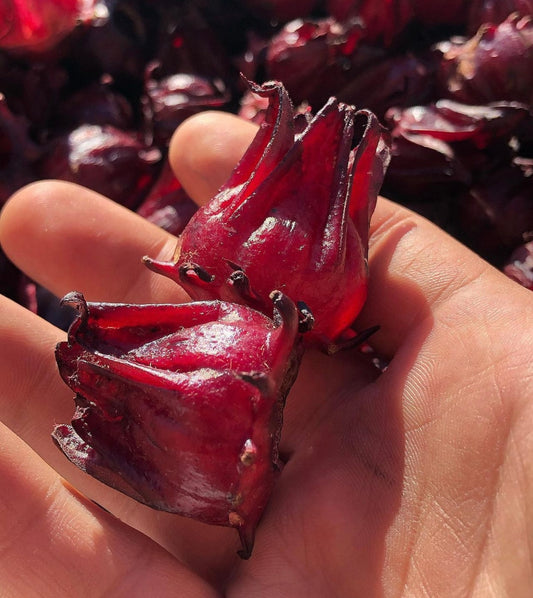 FRUIT PUNCH FLOWER | DRIED | SORREL (50g)