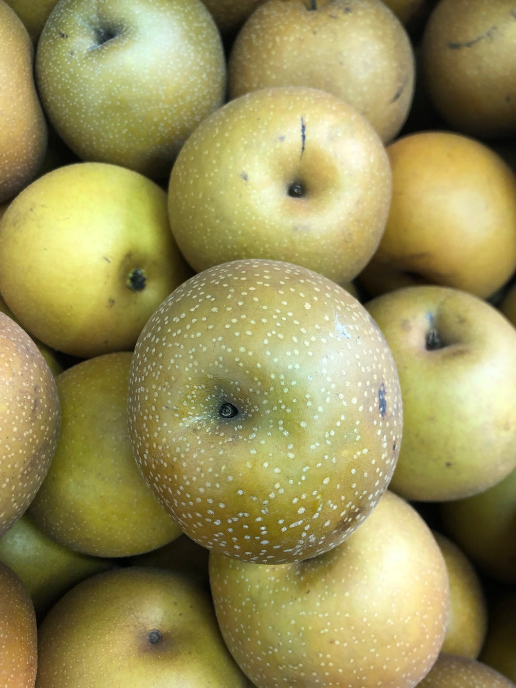 PEAR | BROWN ASIAN (APPROX 1KG )