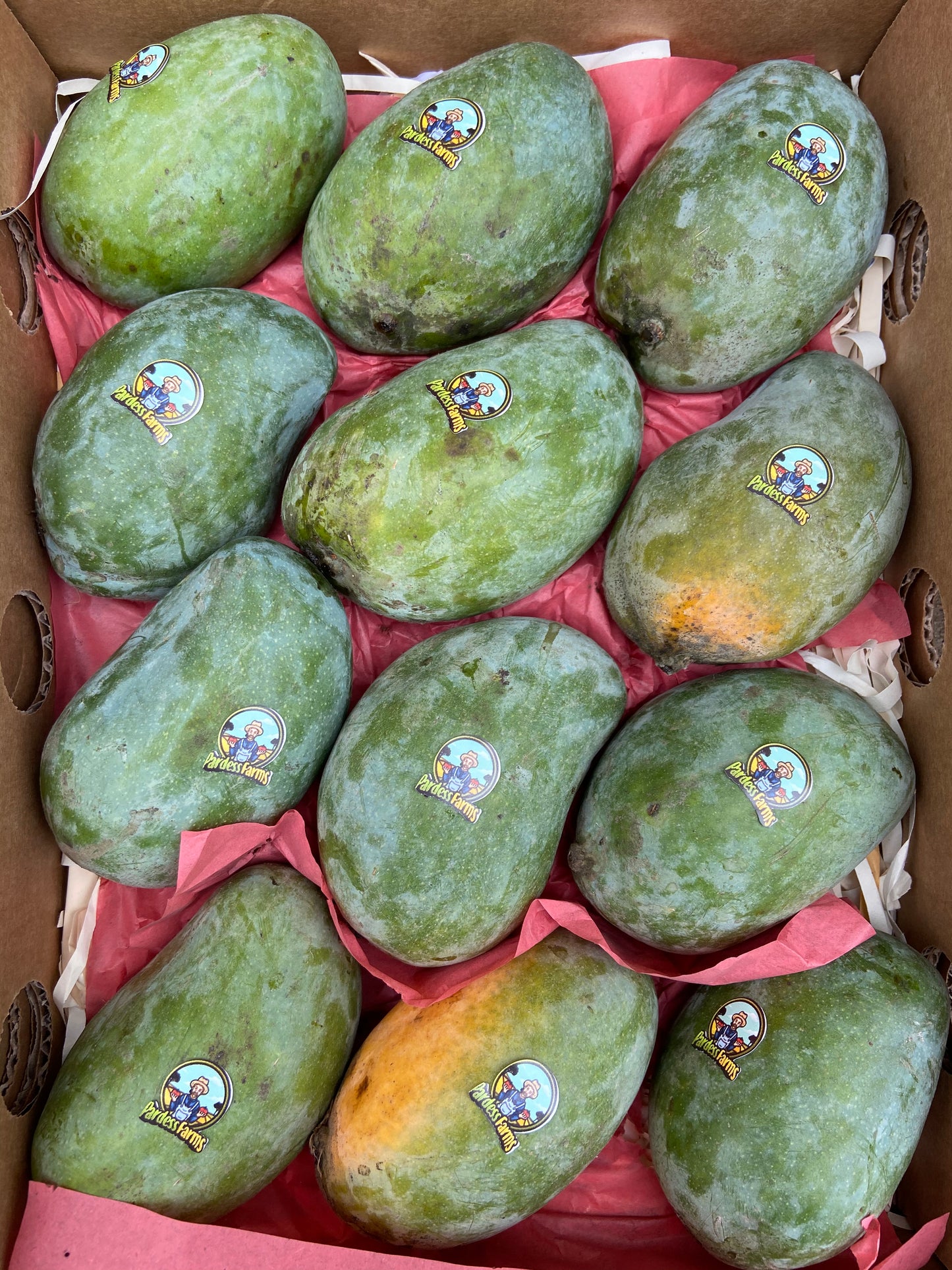 Mango | Egyptian Tymour Box ~2kg (5-12 mangos)