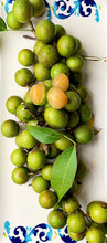 Load image into Gallery viewer, GUINEP | MAMONCILLO | SPANISH LIME | 3LBS BOX
