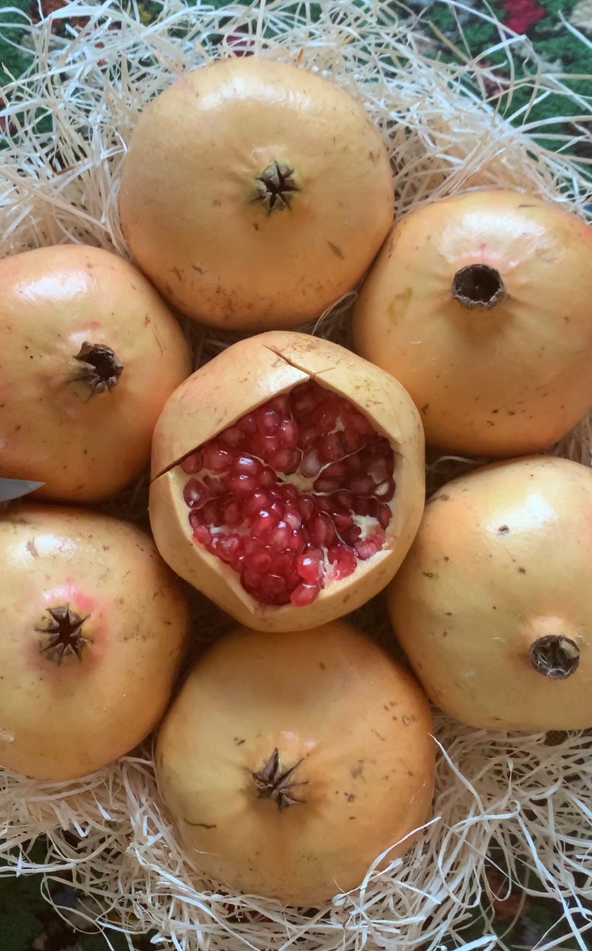 POMEGRANATE | MOLLAR VARIETY | SPAIN (1 BOX ~ 9-15 PIECES) 4.5KG