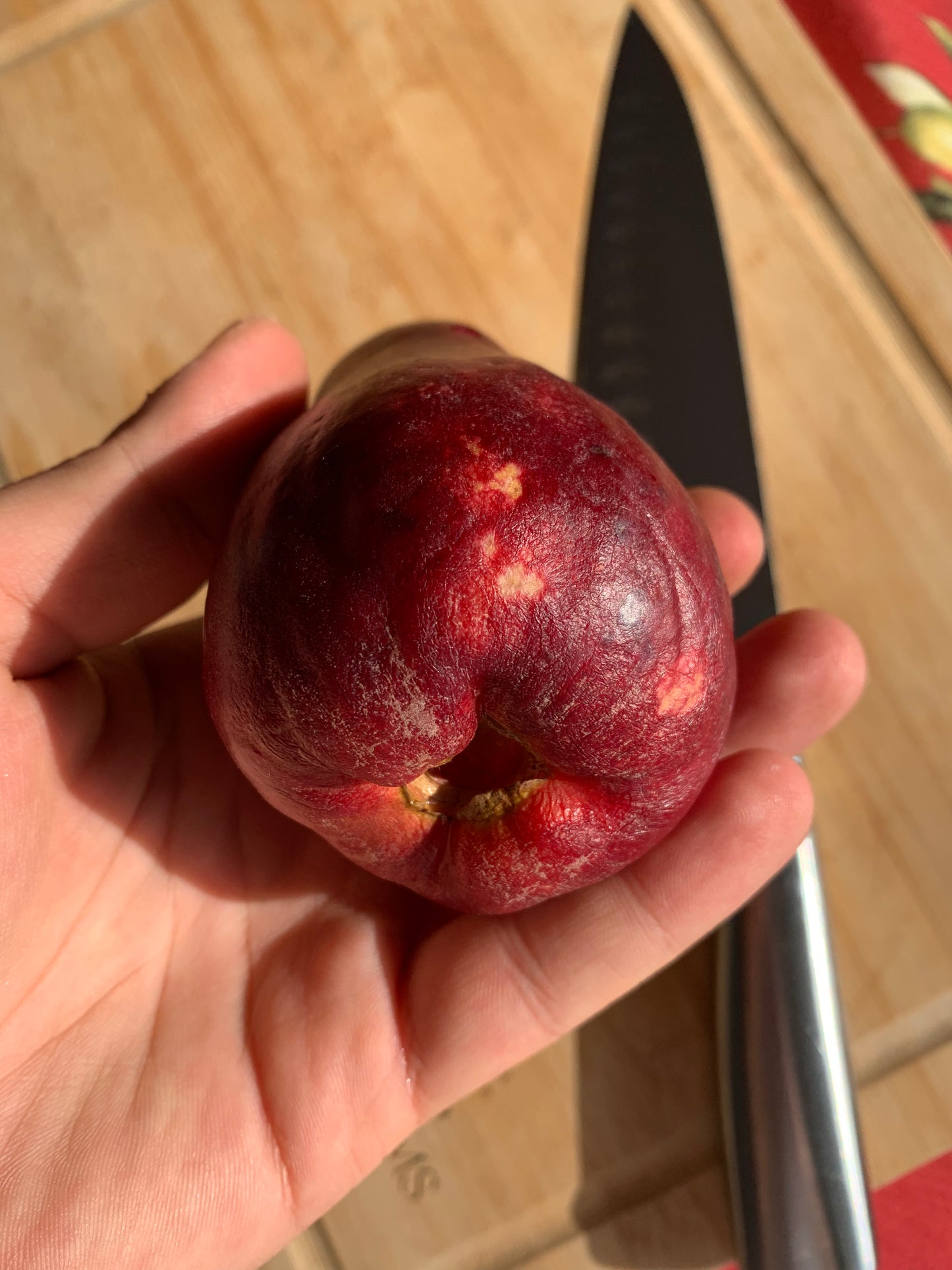 OTIHEIT JAMAICAN APPLE | 2 LBS (4-8 UNITS)