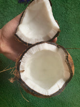 Load image into Gallery viewer, COCONUT | BROWN COCO DOMINICAN REPUBLIC (1 FRUIT)
