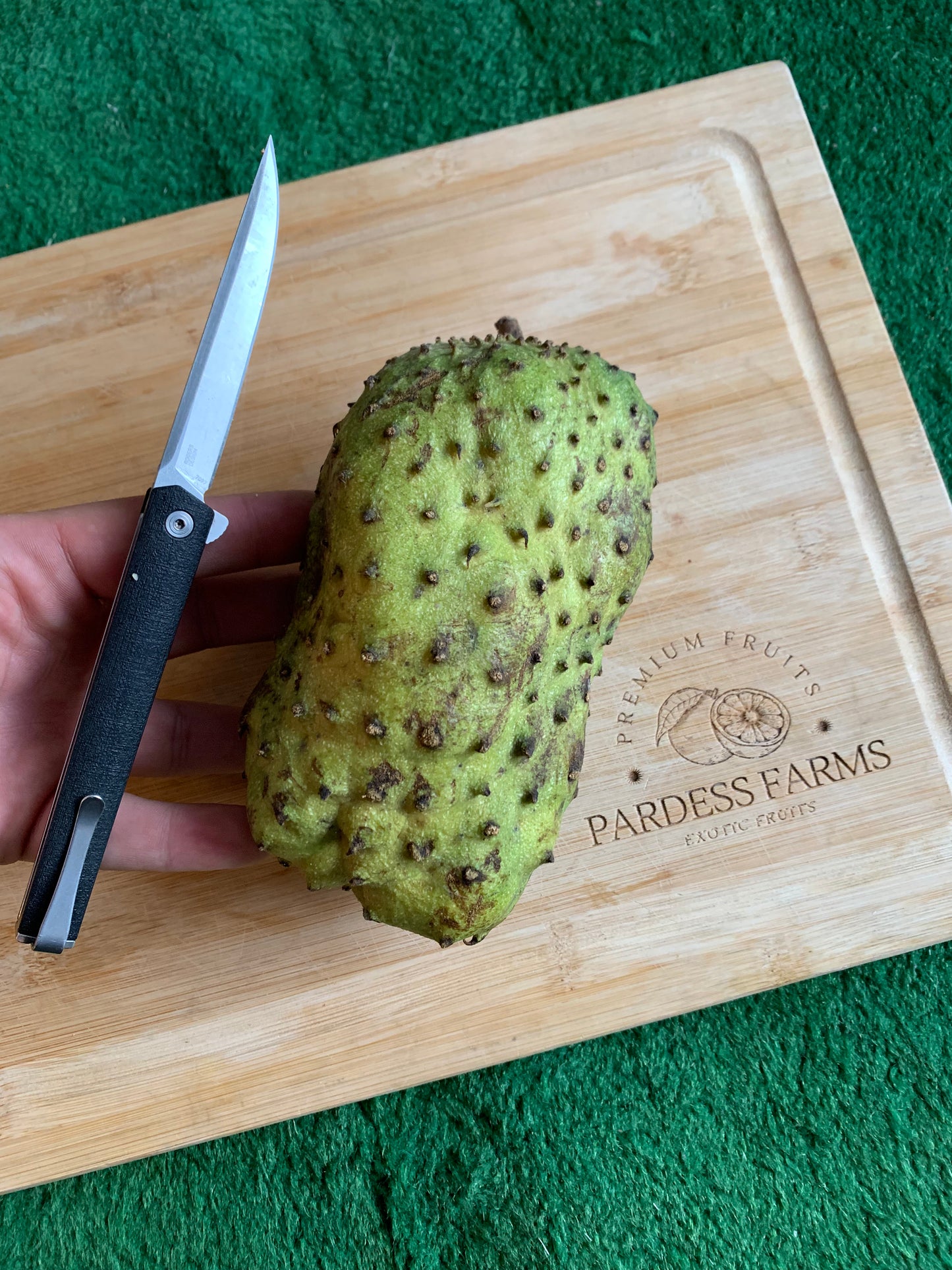 SOURSOP | GUANABANA COROSSOL DOMINICAN REPUBLIC  (BOX ~5 LBS 1-8 FRUITS)