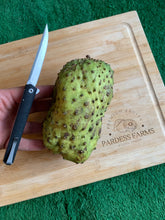 Load image into Gallery viewer, SOURSOP | GUANABANA COROSSOL DOMINICAN REPUBLIC  (BOX ~5 LBS 1-8 FRUITS)
