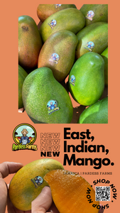 MANGO | EAST INDIAN MANGO JAMAICA | (1 MANGO)