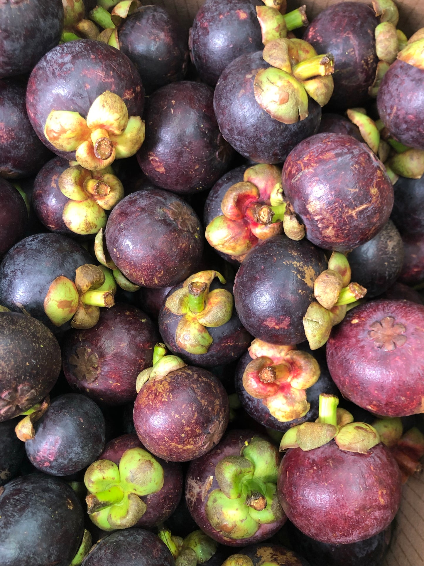 MANGOSTEEN | BOX (2KG)